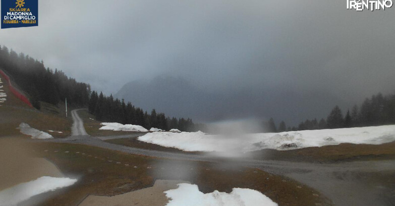 Webcam Skiarea Campiglio Dolomiti di Brenta Val di Sole Val Rendena - Pista delle Rocce - Folgarida