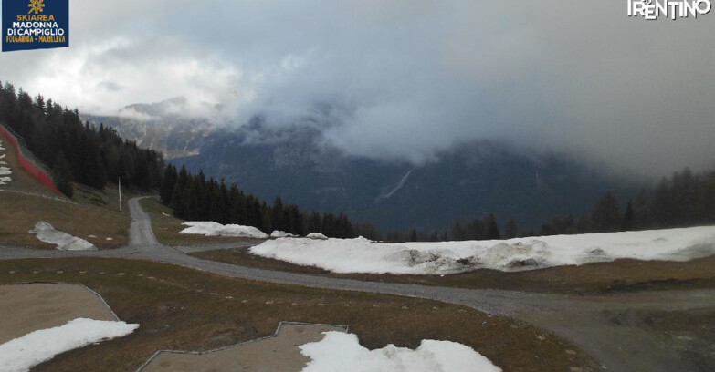 Webcam Skiarea Campiglio Dolomiti di Brenta Val di Sole Val Rendena - Pista delle Rocce - Folgarida