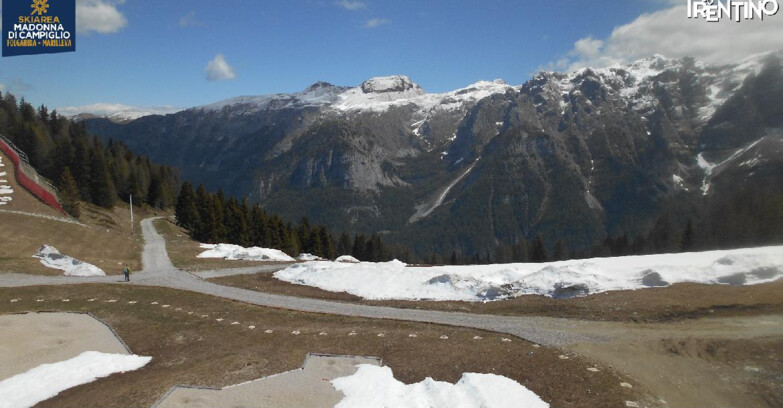 Webcam Skiarea Campiglio Dolomiti di Brenta Val di Sole Val Rendena - Pista delle Rocce - Folgarida