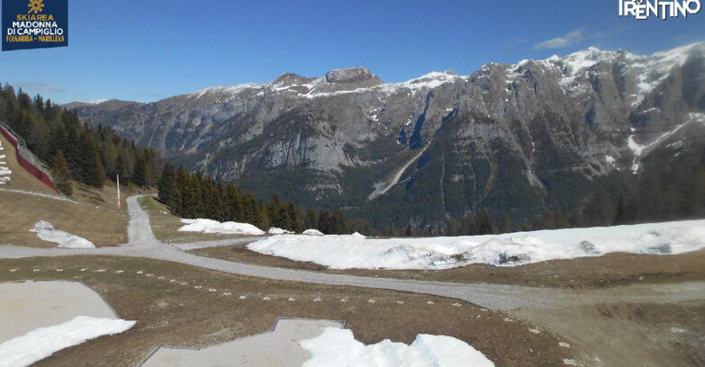 Webcam Skiarea Campiglio Dolomiti di Brenta Val di Sole Val Rendena - Pista delle Rocce - Folgarida
