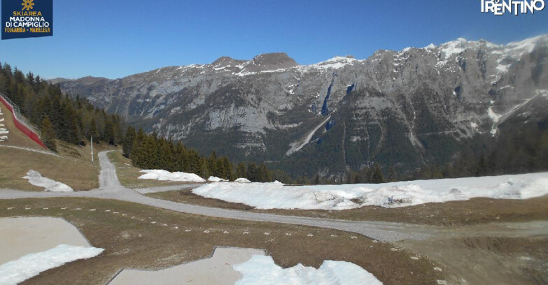 Webcam Skiarea Campiglio Dolomiti di Brenta Val di Sole Val Rendena - Pista delle Rocce - Folgarida