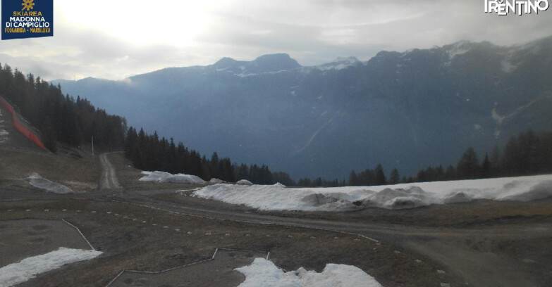 Webcam Skiarea Campiglio Dolomiti di Brenta Val di Sole Val Rendena - Pista delle Rocce - Folgarida