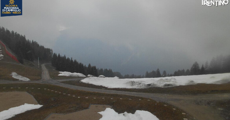 Webcam Skiarea Campiglio Dolomiti di Brenta Val di Sole Val Rendena - Pista delle Rocce - Folgarida