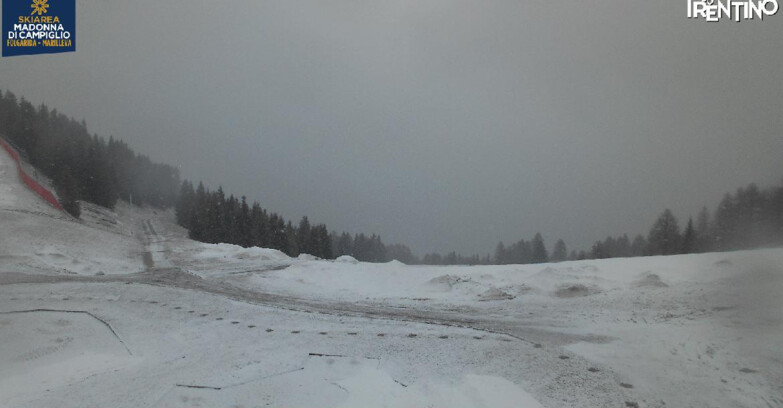 Webcam Skiarea Campiglio Dolomiti di Brenta Val di Sole Val Rendena - Pista delle Rocce - Folgarida