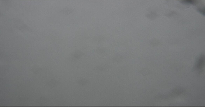 Webcam Pozza di Fassa-Aloch-Buffaure  - Vigo di Fassa da Buffaure