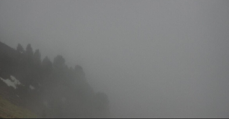 Webcam Pozza di Fassa-Aloch-Buffaure  - Panorama da Buffaure