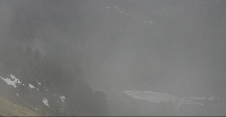 Webcam Pozza di Fassa-Aloch-Buffaure  - Panorama da Buffaure