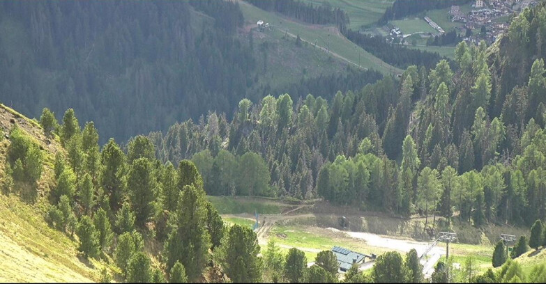 Webcam Pozza di Fassa-Aloch-Buffaure  - Panorama da Buffaure