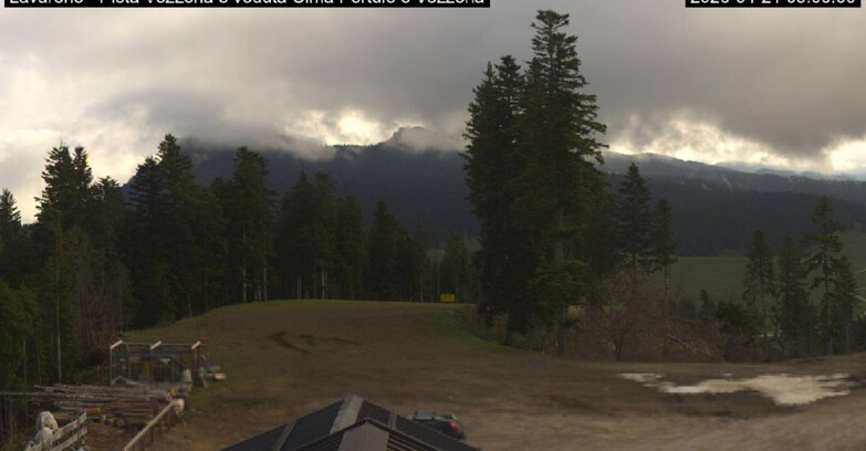 Webcam Ski area Lavarone - Pista Vezzena