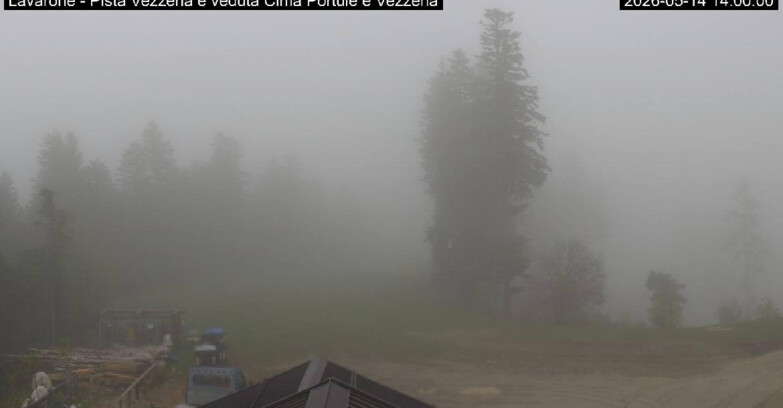 Webcam Ski Area Lavarone  - Piste Vezzena