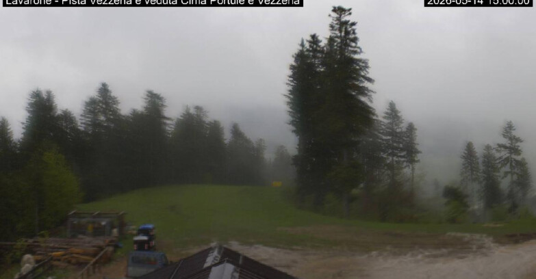 Webcam Ski Area Lavarone  - Piste Vezzena