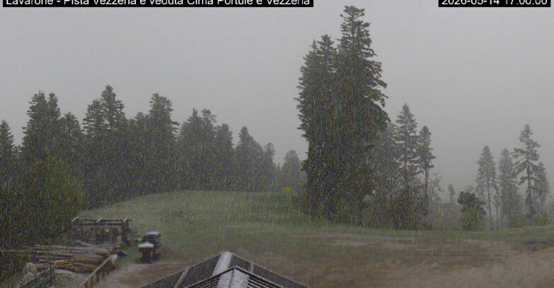 Webcam Ski Area Lavarone  - Piste Vezzena