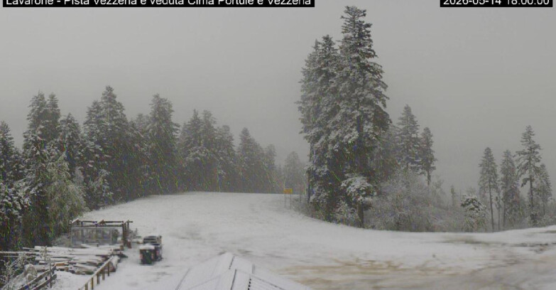 Webcam Ski Area Lavarone  - Piste Vezzena