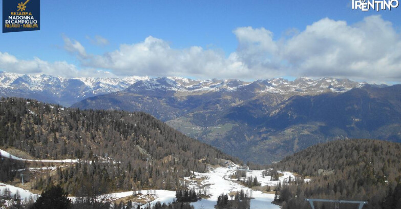 Webcam Skiarea Campiglio Dolomiti di Brenta Val di Sole Val Rendena - Val Panciana
