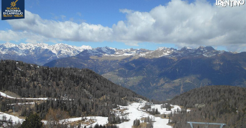 Webcam Skiarea Campiglio Dolomiti di Brenta Val di Sole Val Rendena - Val Panciana