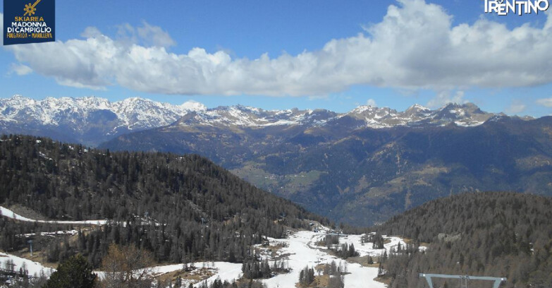 Webcam Skiarea Campiglio Dolomiti di Brenta Val di Sole Val Rendena - Val Panciana
