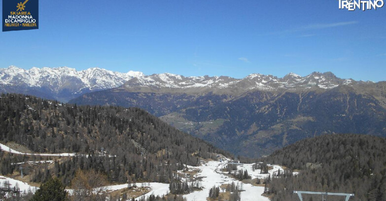 Webcam Ski area Campiglio Dolomiti di Brenta Val di Sole Val Rendena - Val Panciana