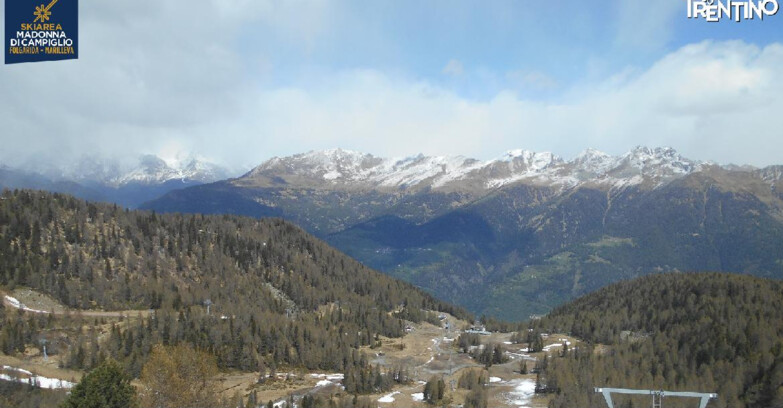 Webcam Skiarea Campiglio Dolomiti di Brenta Val di Sole Val Rendena - Val Panciana