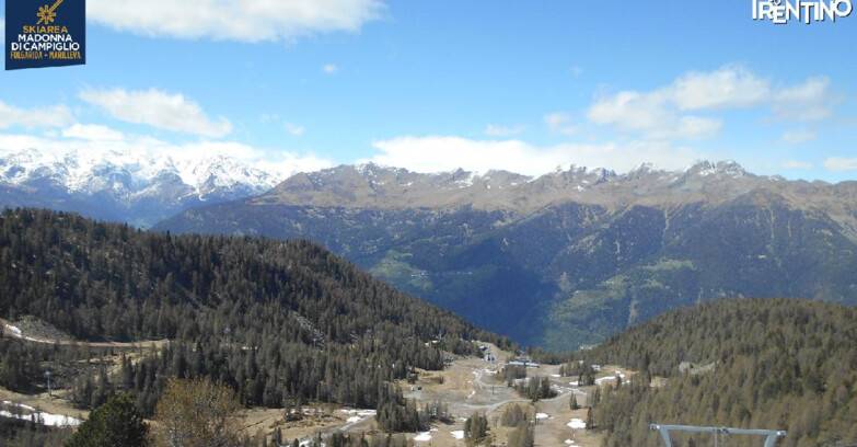 Webcam Skiarea Campiglio Dolomiti di Brenta Val di Sole Val Rendena - Val Panciana
