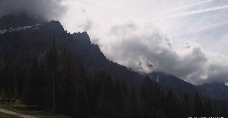 Webcam Сан-Мартино-ди-Кастроцца - Пассо-Ролле - Le Pale di San Martino