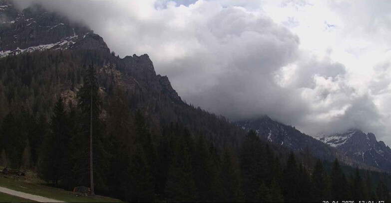 Webcam Сан-Мартино-ди-Кастроцца - Пассо-Ролле - Le Pale di San Martino