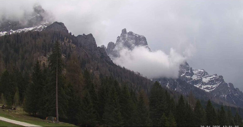 Webcam Сан-Мартино-ди-Кастроцца - Пассо-Ролле - Le Pale di San Martino