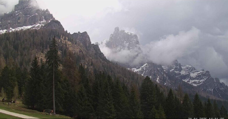 Webcam Сан-Мартино-ди-Кастроцца - Пассо-Ролле - Le Pale di San Martino