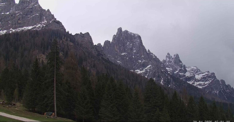 Webcam Сан-Мартино-ди-Кастроцца - Пассо-Ролле - Le Pale di San Martino