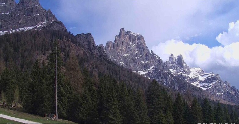 Webcam Сан-Мартино-ди-Кастроцца - Пассо-Ролле - Le Pale di San Martino