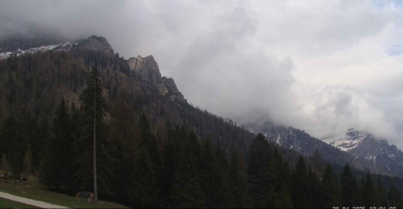 Webcam San Martino di Castrozza - Passo Rolle - Le Pale di San Martino