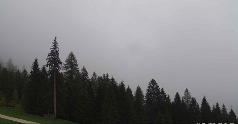 Webcam San Martino di Castrozza - Passo Rolle - Le Pale di San Martino