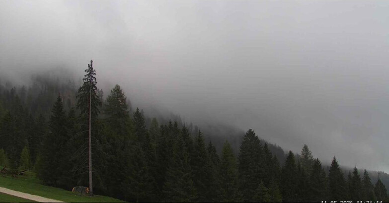 Webcam San Martino di Castrozza - Passo Rolle - Le Pale di San Martino
