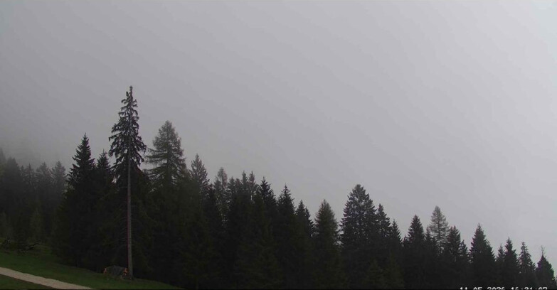 Webcam Сан-Мартино-ди-Кастроцца - Пассо-Ролле - Le Pale di San Martino