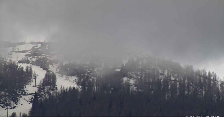 Webcam Сан-Мартино-ди-Кастроцца - Пассо-Ролле - Alpe Tognola e Pista 1