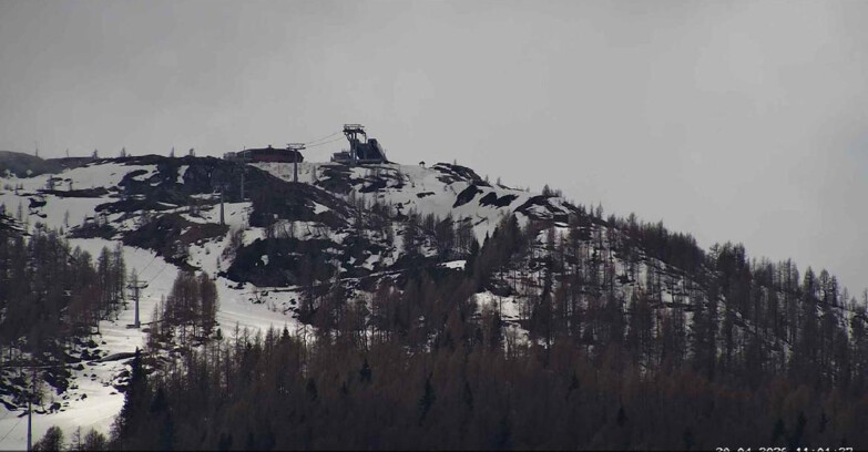 Webcam Сан-Мартино-ди-Кастроцца - Пассо-Ролле - Alpe Tognola e Pista 1