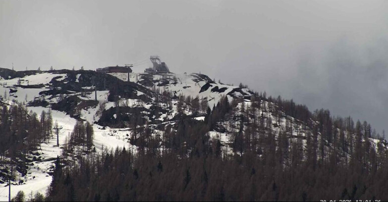 Webcam Сан-Мартино-ди-Кастроцца - Пассо-Ролле - Alpe Tognola e Pista 1