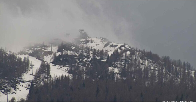 Webcam Сан-Мартино-ди-Кастроцца - Пассо-Ролле - Alpe Tognola e Pista 1