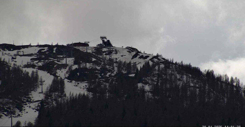 Webcam Сан-Мартино-ди-Кастроцца - Пассо-Ролле - Alpe Tognola e Pista 1