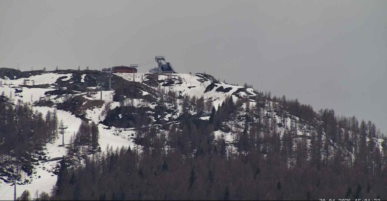 Webcam Сан-Мартино-ди-Кастроцца - Пассо-Ролле - Alpe Tognola e Pista 1