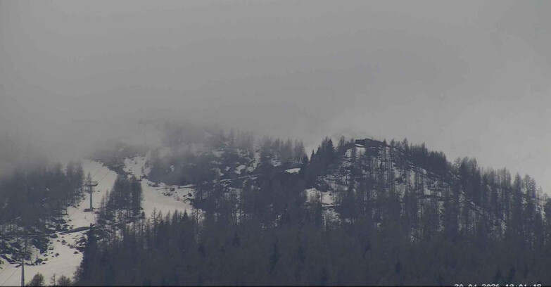 Webcam Сан-Мартино-ди-Кастроцца - Пассо-Ролле - Alpe Tognola e Pista 1