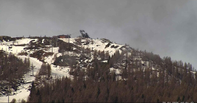 Webcam Сан-Мартино-ди-Кастроцца - Пассо-Ролле - Alpe Tognola e Pista 1