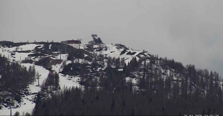 Webcam San Martino di Castrozza - Passo Rolle - Alpe Tognola e Pista 1