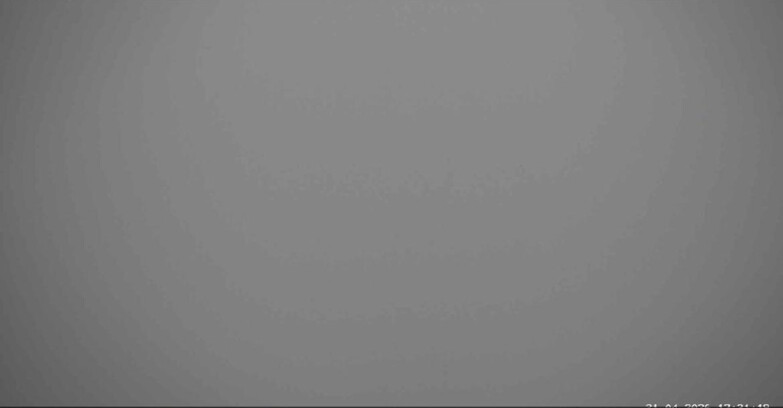 Webcam San Martino di Castrozza - Passo Rolle - Alpe Tognola e Pista 1