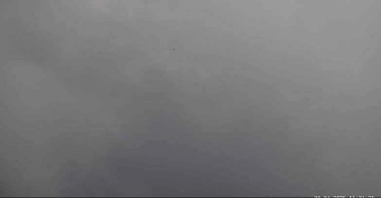 Webcam San Martino di Castrozza - Passo Rolle - Alpe Tognola e Pista 1