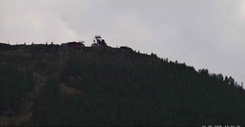 Webcam San Martino di Castrozza - Passo Rolle  - Alpe Tognola e Pista 1