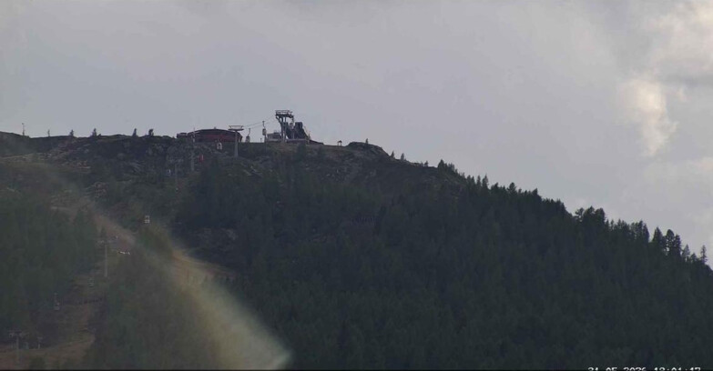Webcam San Martino di Castrozza - Passo Rolle  - Alpe Tognola e Pista 1