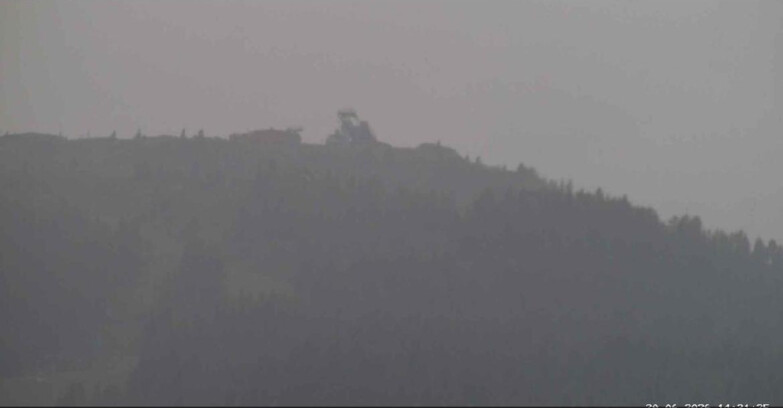 Webcam San Martino di Castrozza - Passo Rolle  - Alpe Tognola e Pista 1