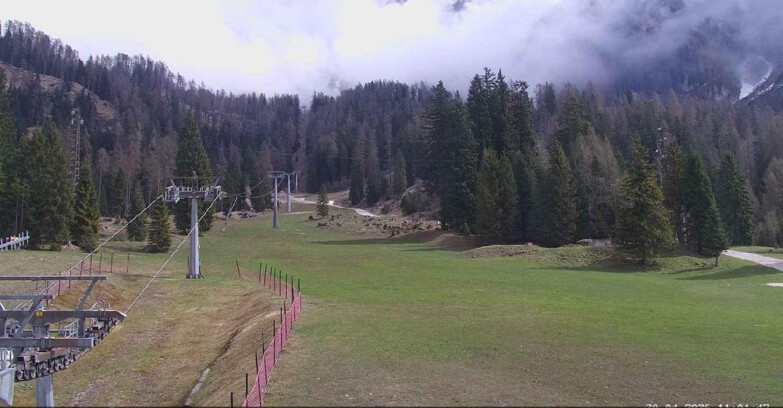 Webcam Сан-Мартино-ди-Кастроцца - Пассо-Ролле - Pista Col Verde