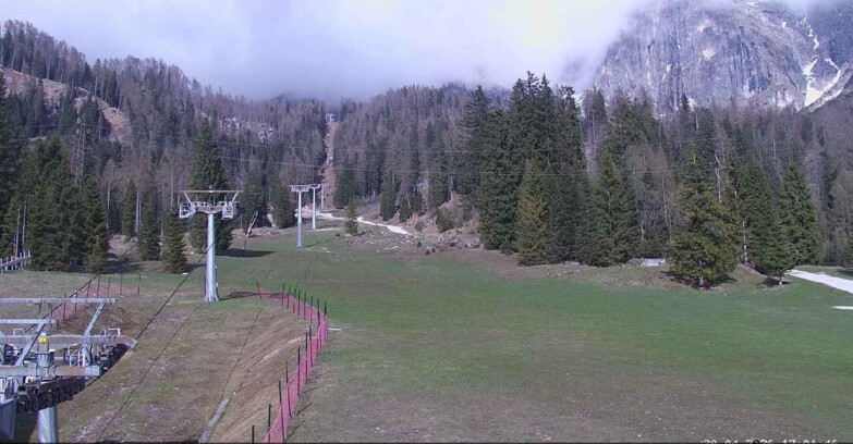 Webcam Сан-Мартино-ди-Кастроцца - Пассо-Ролле - Pista Col Verde