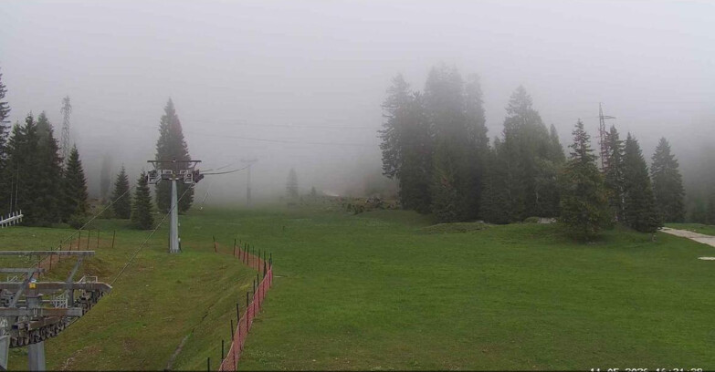 Webcam Сан-Мартино-ди-Кастроцца - Пассо-Ролле - Pista Col Verde